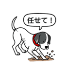 イングリッシュポインター(ブラック）①（個別スタンプ：12）