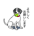 イングリッシュポインター(ブラック）①（個別スタンプ：14）