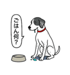 イングリッシュポインター(ブラック）①（個別スタンプ：15）