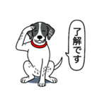 イングリッシュポインター(ブラック）①（個別スタンプ：17）