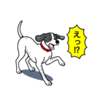 イングリッシュポインター(ブラック）①（個別スタンプ：18）