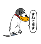 イングリッシュポインター(ブラック）①（個別スタンプ：20）