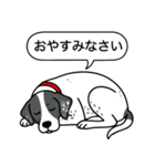 イングリッシュポインター(ブラック）①（個別スタンプ：24）