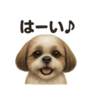 優しいシーズーの日常で使えるLINEスタンプ（個別スタンプ：2）