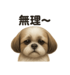 優しいシーズーの日常で使えるLINEスタンプ（個別スタンプ：3）