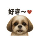 優しいシーズーの日常で使えるLINEスタンプ（個別スタンプ：5）