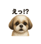 優しいシーズーの日常で使えるLINEスタンプ（個別スタンプ：6）