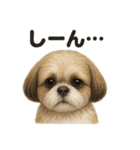 優しいシーズーの日常で使えるLINEスタンプ（個別スタンプ：8）