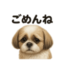 優しいシーズーの日常で使えるLINEスタンプ（個別スタンプ：16）