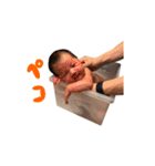 ひかりとつむぎスタンプ for family vol.2（個別スタンプ：8）
