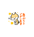 柴犬ふうちゃん日常系ゆるいスタンプ（個別スタンプ：2）