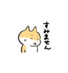 柴犬ふうちゃん日常系ゆるいスタンプ（個別スタンプ：6）