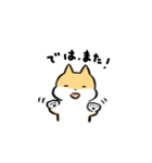 柴犬ふうちゃん日常系ゆるいスタンプ（個別スタンプ：8）