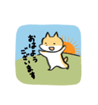 柴犬ふうちゃん日常系ゆるいスタンプ（個別スタンプ：16）