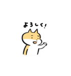柴犬ふうちゃん日常系ゆるいスタンプ（個別スタンプ：23）