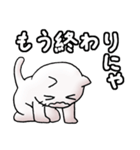猫のスタンプ その17（個別スタンプ：31）