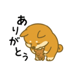 柴犬しば太＆くまっち（個別スタンプ：1）