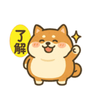 柴犬しば太＆くまっち（個別スタンプ：7）