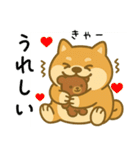 柴犬しば太＆くまっち（個別スタンプ：8）