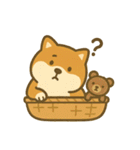 柴犬しば太＆くまっち（個別スタンプ：9）