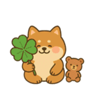 柴犬しば太＆くまっち（個別スタンプ：11）