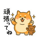 柴犬しば太＆くまっち（個別スタンプ：20）