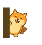 柴犬しば太＆くまっち（個別スタンプ：23）