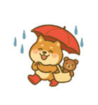 柴犬しば太＆くまっち（個別スタンプ：27）
