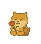 柴犬しば太＆くまっち（個別スタンプ：37）