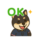 介護をする黒柴犬（個別スタンプ：2）