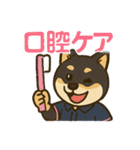介護をする黒柴犬（個別スタンプ：3）
