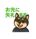介護をする黒柴犬（個別スタンプ：5）