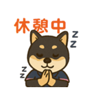 介護をする黒柴犬（個別スタンプ：6）