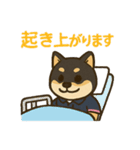 介護をする黒柴犬（個別スタンプ：8）