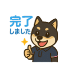 介護をする黒柴犬（個別スタンプ：9）