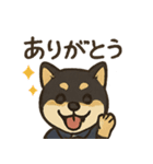 介護をする黒柴犬（個別スタンプ：11）