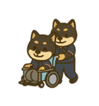 介護をする黒柴犬（個別スタンプ：12）