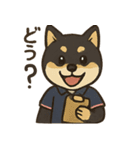 介護をする黒柴犬（個別スタンプ：14）
