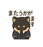 介護をする黒柴犬（個別スタンプ：17）