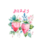 毎日使える 水彩フルーツ 敬語 ✿大人上品（個別スタンプ：1）