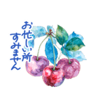 毎日使える 水彩フルーツ 敬語 ✿大人上品（個別スタンプ：14）