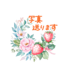 毎日使える 水彩フルーツ 敬語 ✿大人上品（個別スタンプ：24）