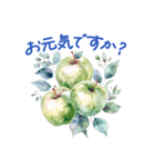 毎日使える 水彩フルーツ 敬語 ✿大人上品（個別スタンプ：26）