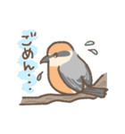 野鳥の子（個別スタンプ：5）