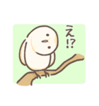 野鳥の子（個別スタンプ：8）