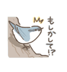 野鳥の子（個別スタンプ：14）