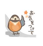 野鳥の子（個別スタンプ：15）