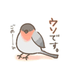 野鳥の子（個別スタンプ：20）