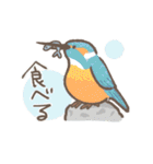 野鳥の子（個別スタンプ：26）
