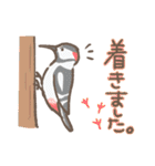 野鳥の子（個別スタンプ：27）